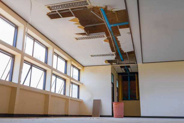 Best Flooded house restoration  in Elkader, IA