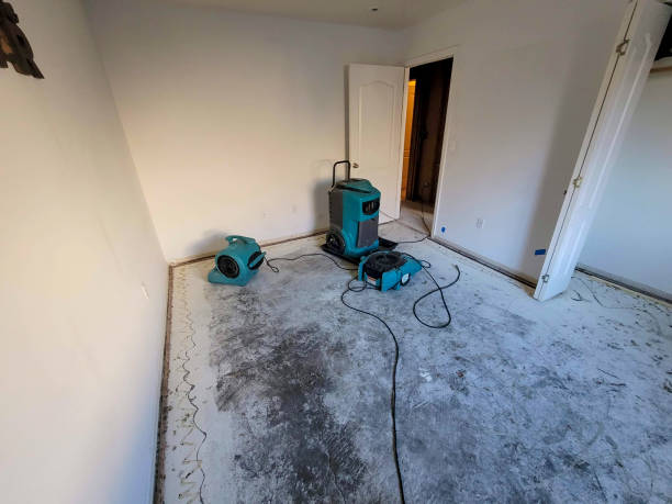 Best Residential water damage restoration  in Elkader, IA