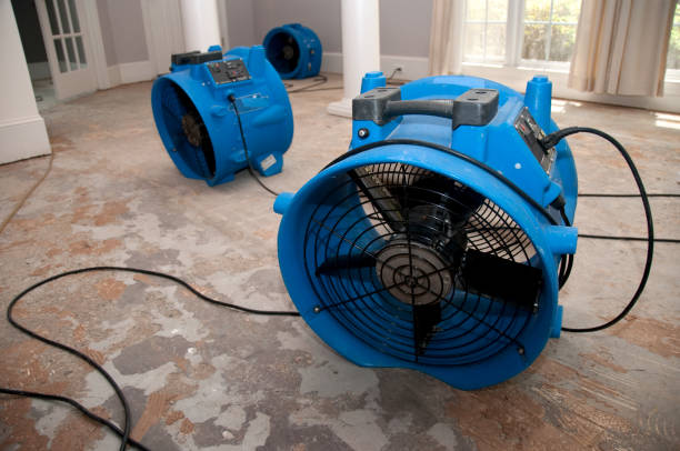 Best Ceiling water damage repair  in Elkader, IA