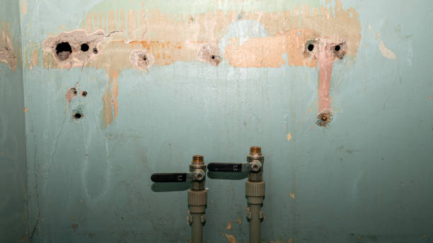 Best Flood damage cleanup  in Elkader, IA