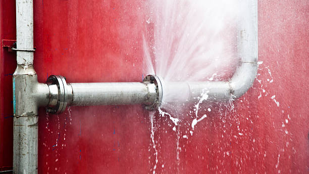 Best Emergency water extraction  in Elkader, IA